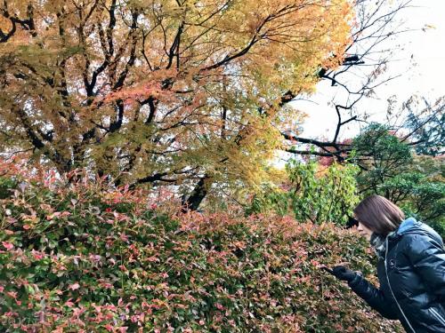 2017TateyamaKurobe Day03 0351