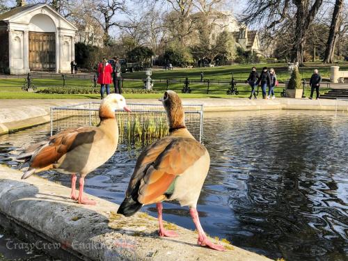 2018England Day13 2857