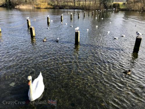 2018England Day13 2878