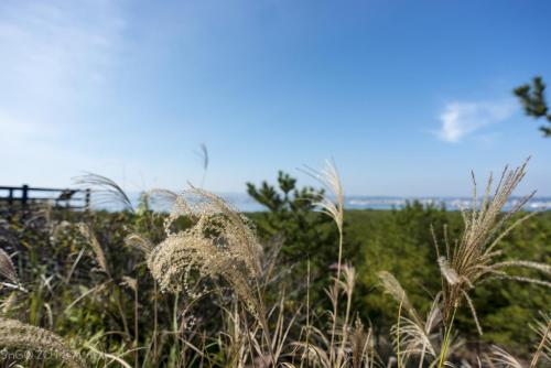 2018Kyushu Day2 0113