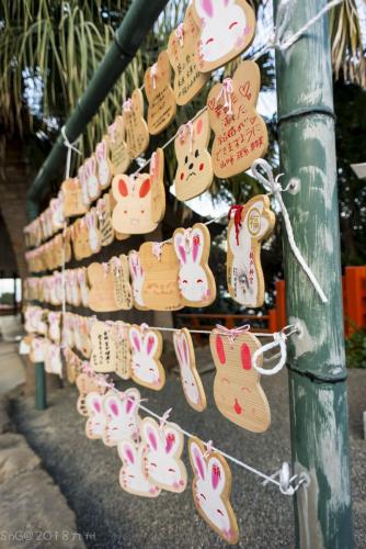 2018Kyushu Day2 0201