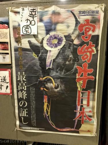 2018Kyushu Day2 0236