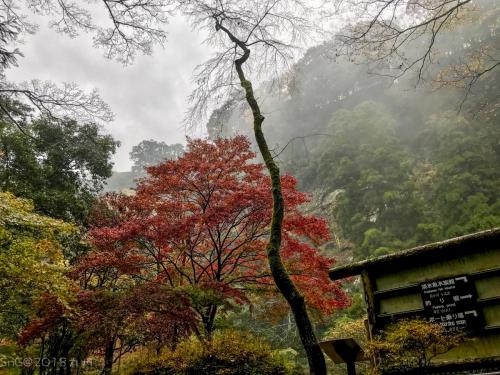 2018Kyushu Day3 0278