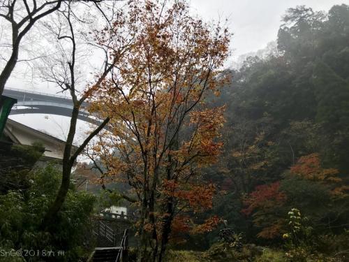 2018Kyushu Day3 0344