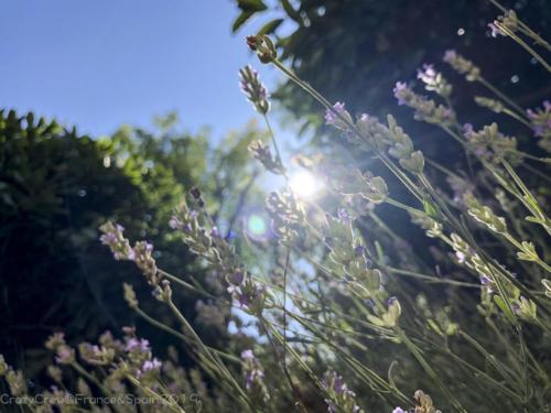 2019SpainFrance Day02 0418