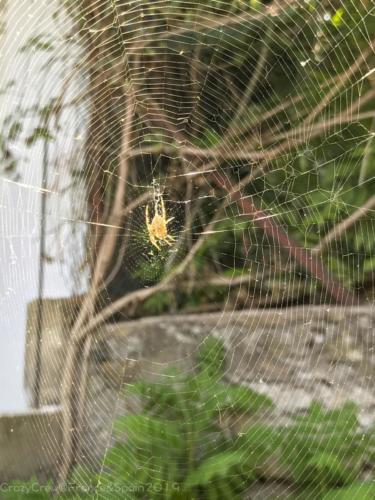 2019SpainFrance Day02 0547