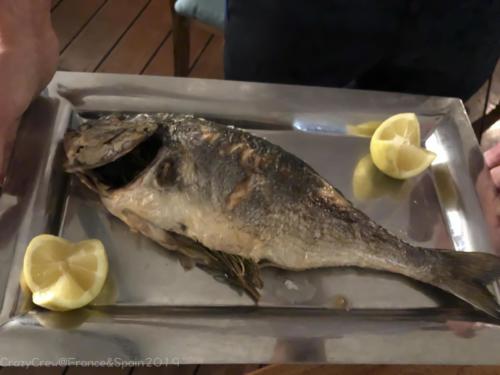 2019SpainFrance Day02 0610