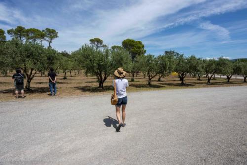 2019SpainFrance Day05 0977