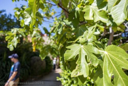 2019SpainFrance Day07 1742