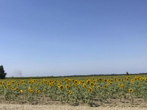 2019SpainFrance Day07 1818