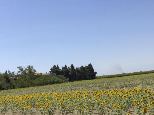 2019SpainFrance Day07 1819