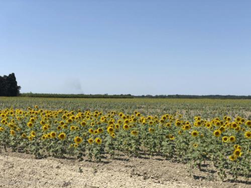 2019SpainFrance Day07 1820
