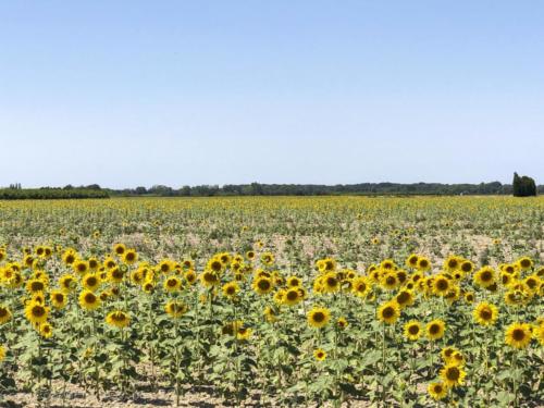 2019SpainFrance Day07 1821