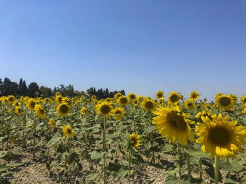 2019SpainFrance Day07 1822