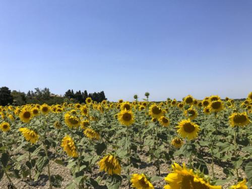 2019SpainFrance Day07 1824