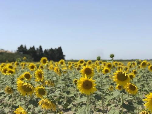 2019SpainFrance Day07 1825