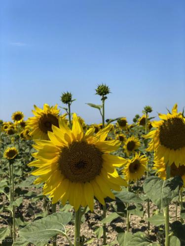 2019SpainFrance Day07 1826