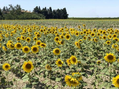 2019SpainFrance Day07 1828