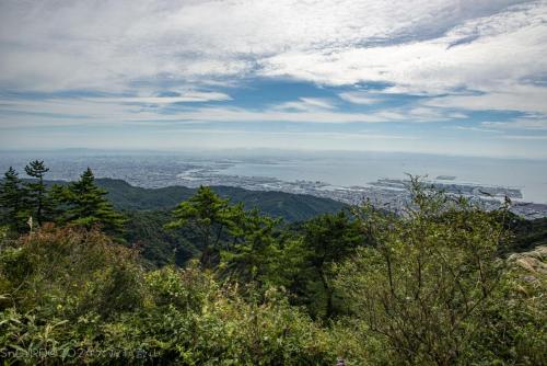 2024大阪和歌山 271