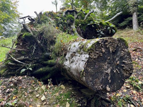 2025UnitedKingdom 121