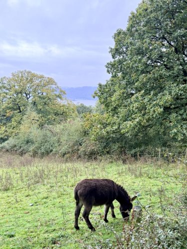 2025UnitedKingdom 123