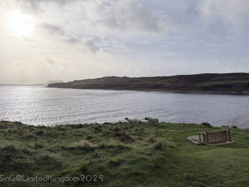 2025UnitedKingdom 201