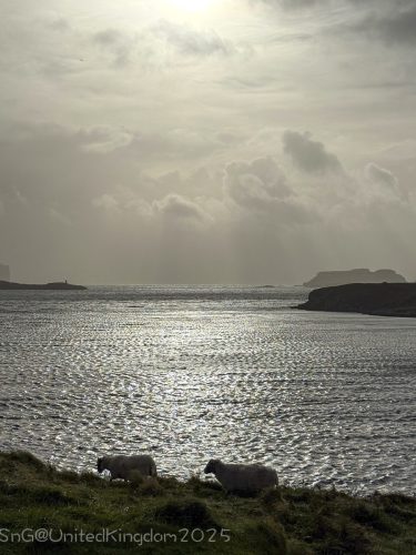 2025UnitedKingdom 203