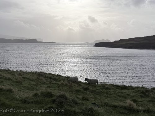 2025UnitedKingdom 204