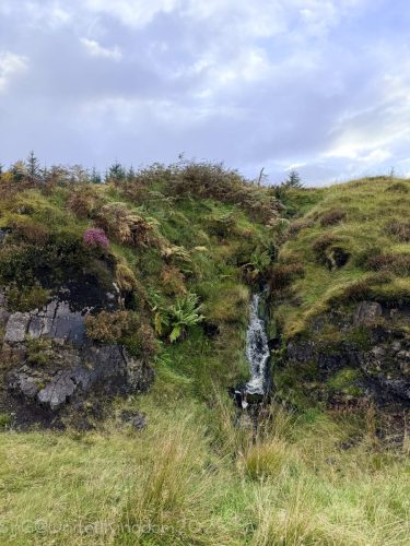 2025UnitedKingdom 219