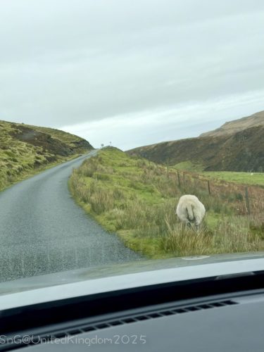 2025UnitedKingdom 235