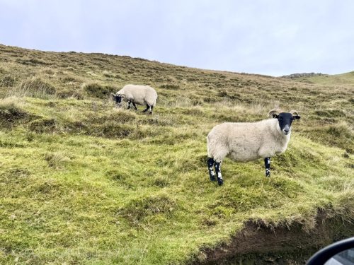 2025UnitedKingdom 236