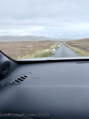 2025UnitedKingdom 240