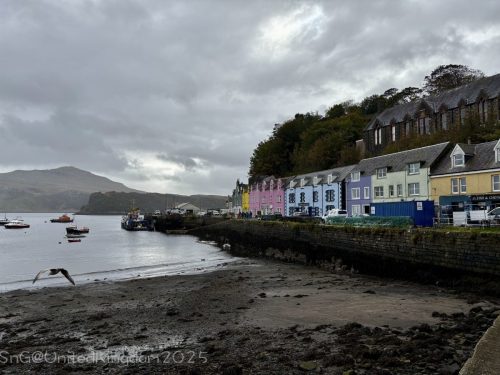 2025UnitedKingdom 243