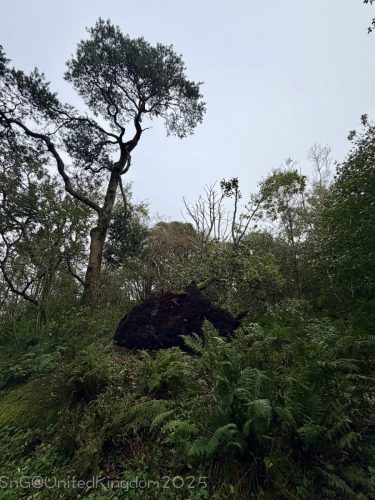 2025UnitedKingdom 255