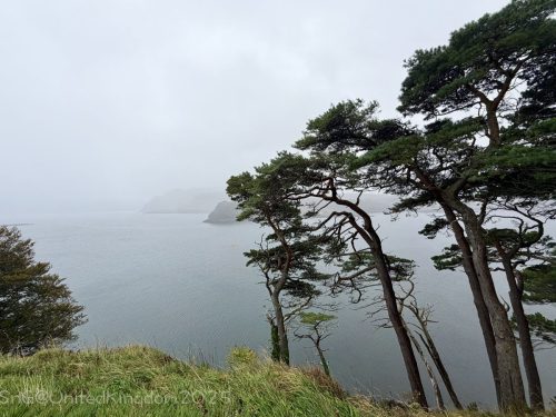 2025UnitedKingdom 258