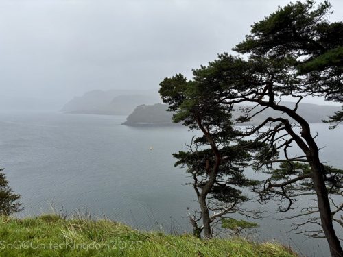 2025UnitedKingdom 260