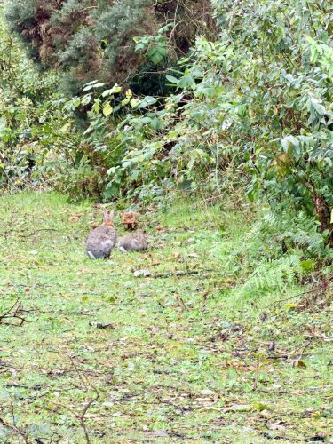 2025UnitedKingdom 262