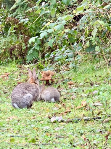 2025UnitedKingdom 263