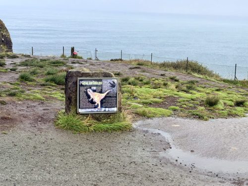 2025UnitedKingdom 276