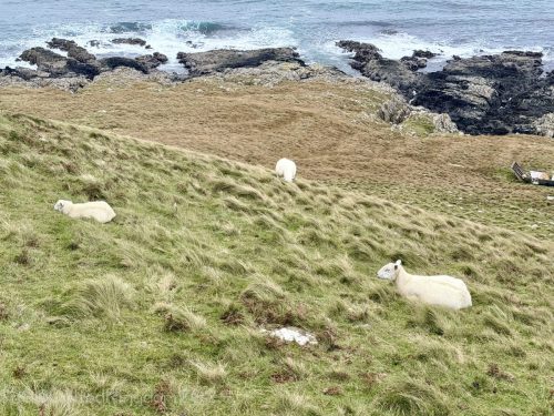 2025UnitedKingdom 386