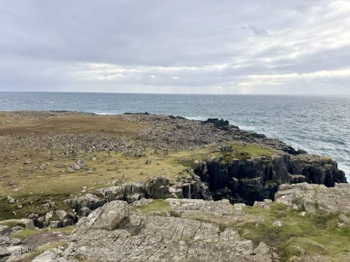 2025UnitedKingdom 388