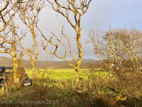 2025UnitedKingdom 437