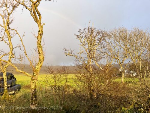 2025UnitedKingdom 438