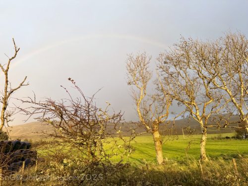 2025UnitedKingdom 439