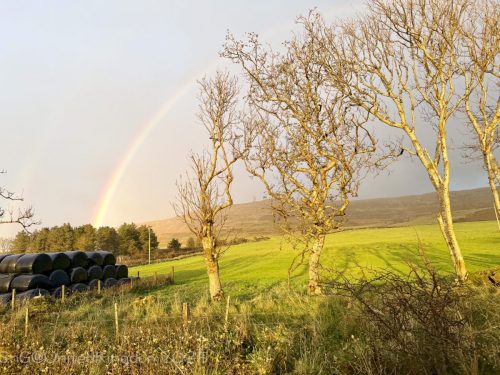 2025UnitedKingdom 440