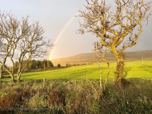 2025UnitedKingdom 441