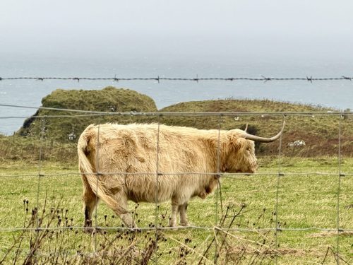 2025UnitedKingdom 468