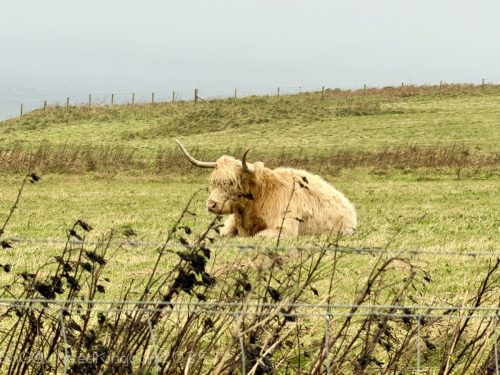 2025UnitedKingdom 469