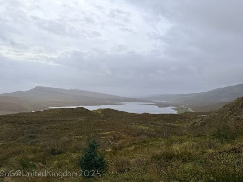 2025UnitedKingdom 488