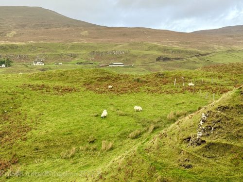 2025UnitedKingdom 582